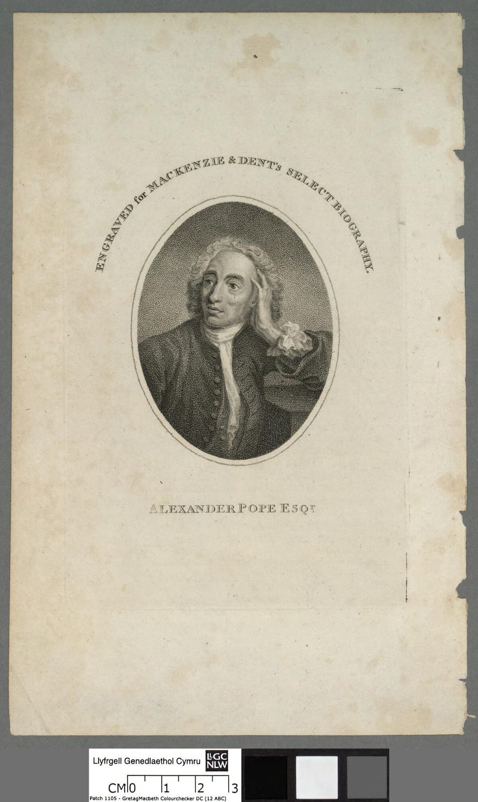 Portrait or photograph of Alexander Pope: A portrait from the Welsh Portrait Collection at the National Library of Wales. Depicted person: Alexander Pope – Engl