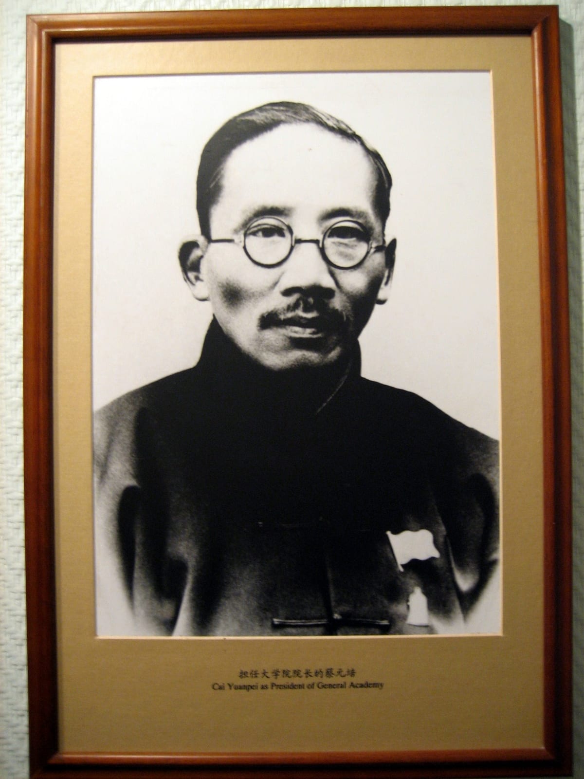 Portrait or photograph of Cai Yuanpei: Cai Yuanpei 3
