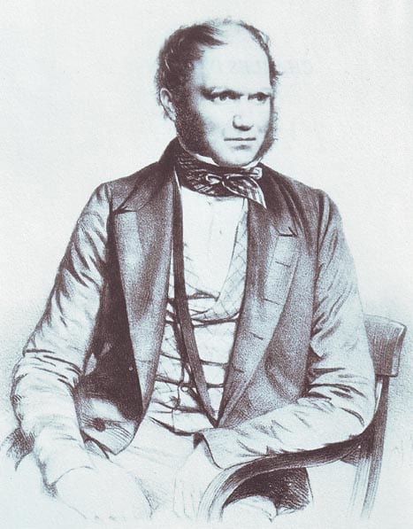 Portrait or photograph of Charles Darwin: A portrait of Charles Darwin from 1849 by Thomas Herbert Maguire