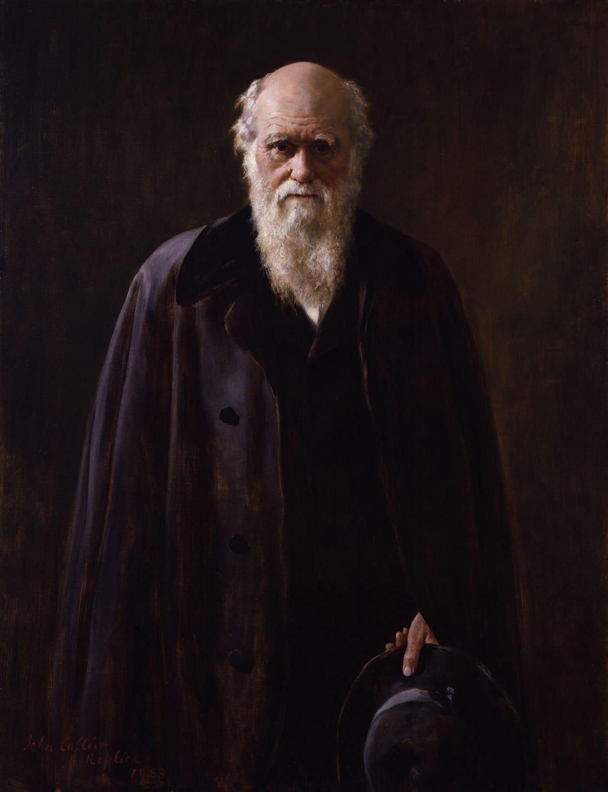 Portrait or photograph of Charles Darwin: Charles Robert Darwin . A copy made by John Collier (1850-1934) in 1883 of his 1881 portrait of Charles Darwin. Accord
