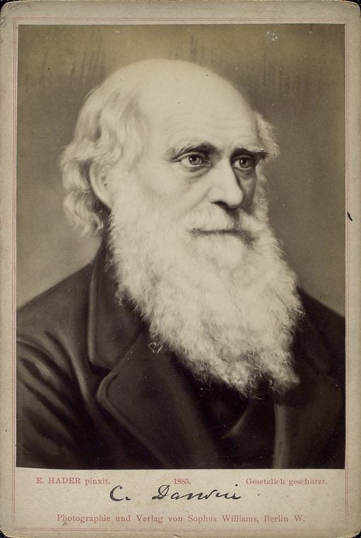 Portrait or photograph of Charles Darwin: Charles Darwin portrait, late in his life, with his autograph on the bottom