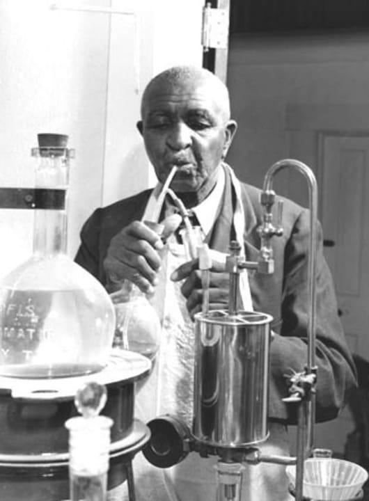 Portrait or photograph of George Washington Carver: en:George Washington Carver , American botanist and inventor, at work in his laboratory