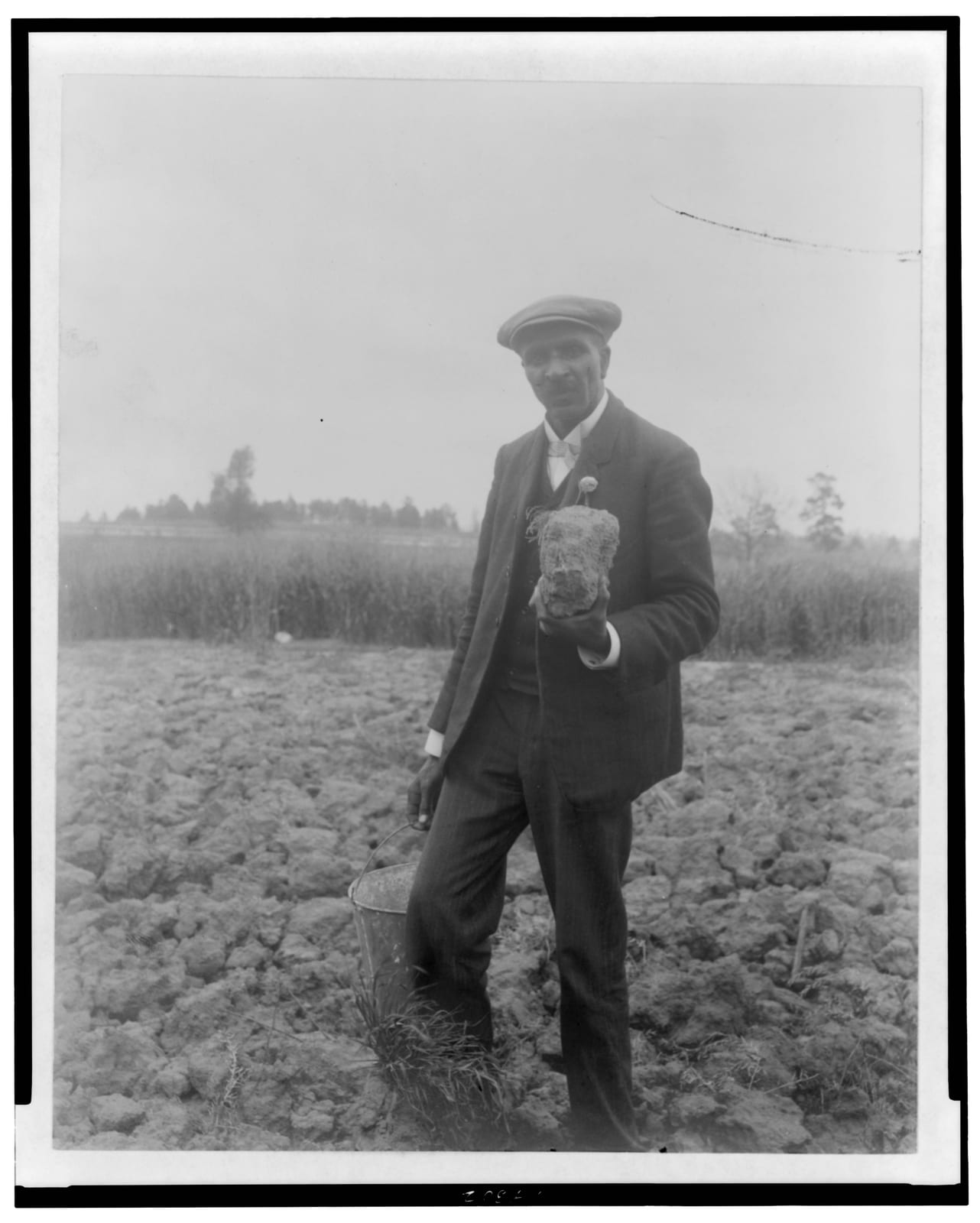 Portrait or photograph of George Washington Carver: Title: George Washington Carver, full-length portrait, standing in field, probably at Tuskegee, holding piec