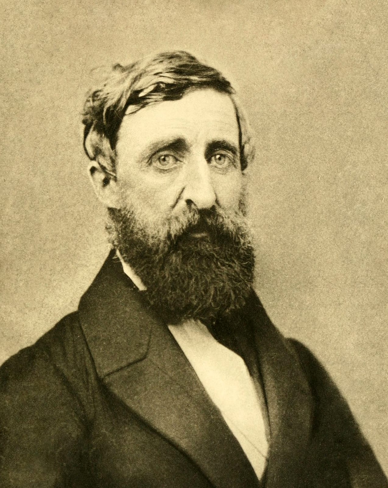 Portrait or photograph of Henry David Thoreau: E.S. Dunshee took the last photographs of Thoreau — two slightly differing ambrotypes — on August 21, 1861, in Ne