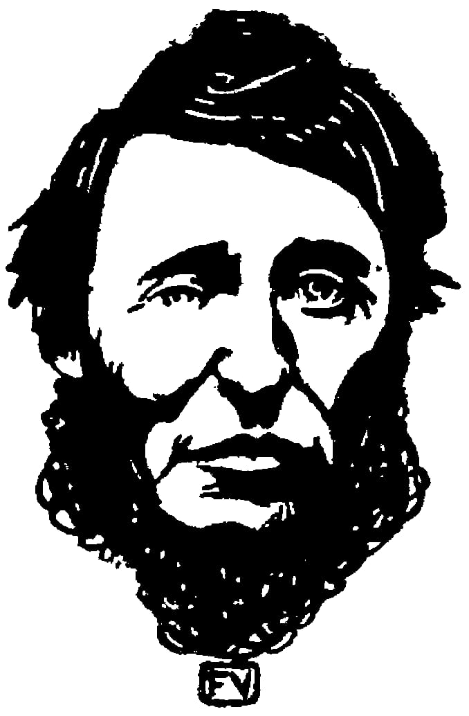 Portrait or photograph of Henry David Thoreau: Henry David Thoreau par Félix Vallotton