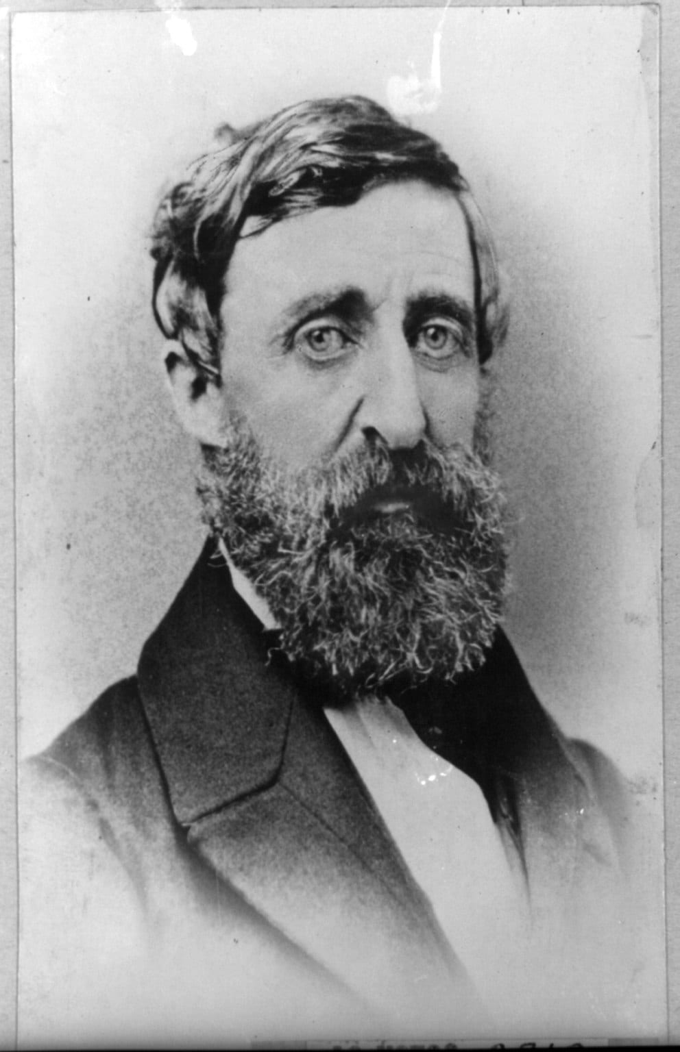 Portrait or photograph of Henry David Thoreau: Title: Henry David Thoreau, head-and-shoulders portrait, facing slightly right Abstract/medium: 1 photographic pr