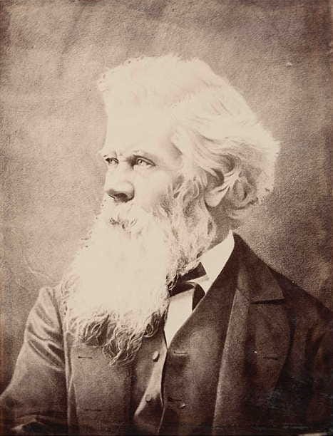Portrait or photograph of Henry Parkes: Portrait of Henry Parkes