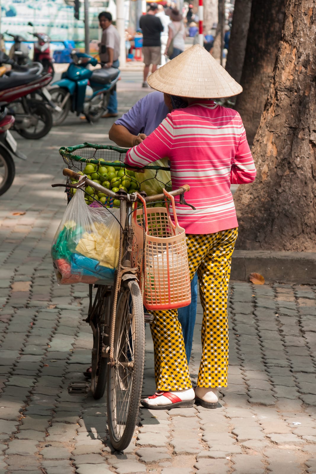 Portrait or photograph of Ho Chi Minh: Ho Chi Minh City, Vietnam: Lady with bicycle, selling her fruits on the streets of Saigon