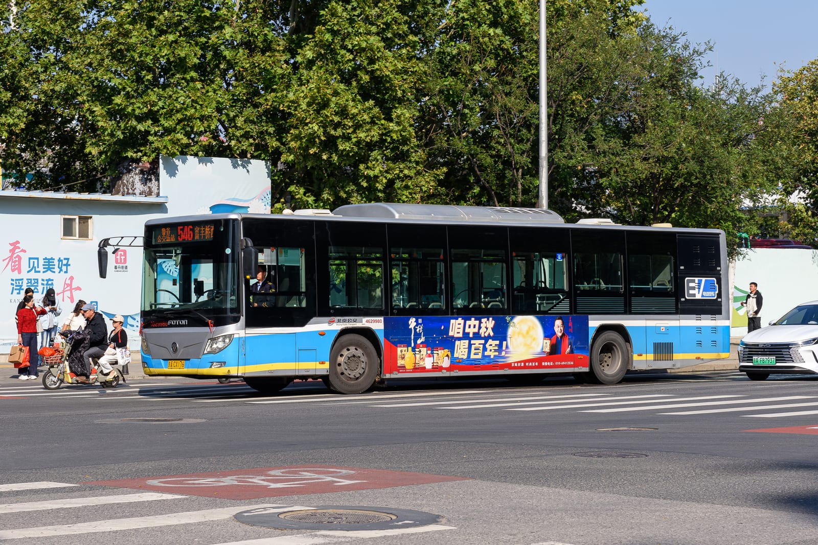Portrait or photograph of Ichiyo Higuchi: It's that "Ichiyo Higuchi" (29980) again.