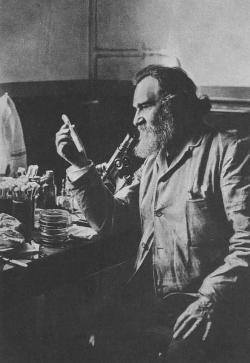 Portrait or photograph of Ilya Mechnikov: Elias Metschnikow
