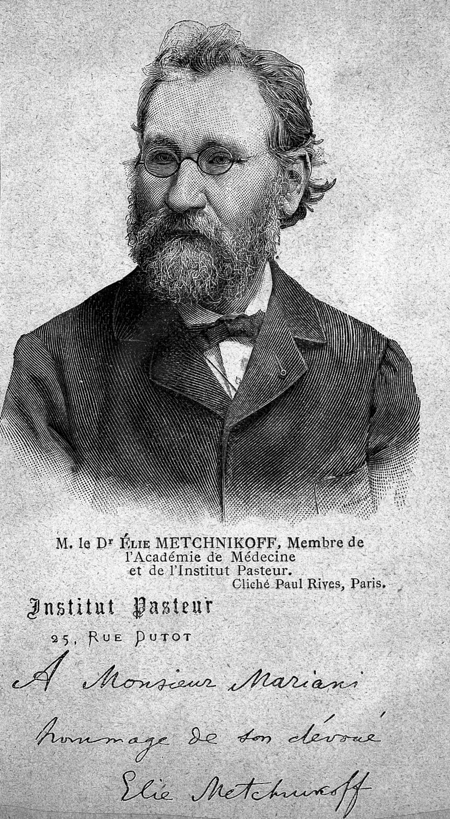 Portrait or photograph of Ilya Mechnikov: Elie Metchnikoff. Wood engraving. Iconographic Collections Keywords: Elie Metchnikoff