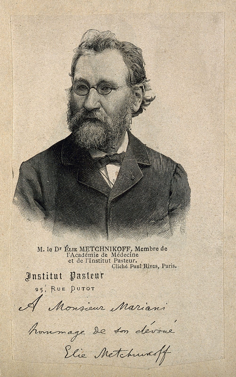 Portrait or photograph of Ilya Mechnikov: Elie Metchnikoff. Wood engraving. Iconographic Collections Keywords: portrait prints; Elie Metchnikoff; wood engraving
