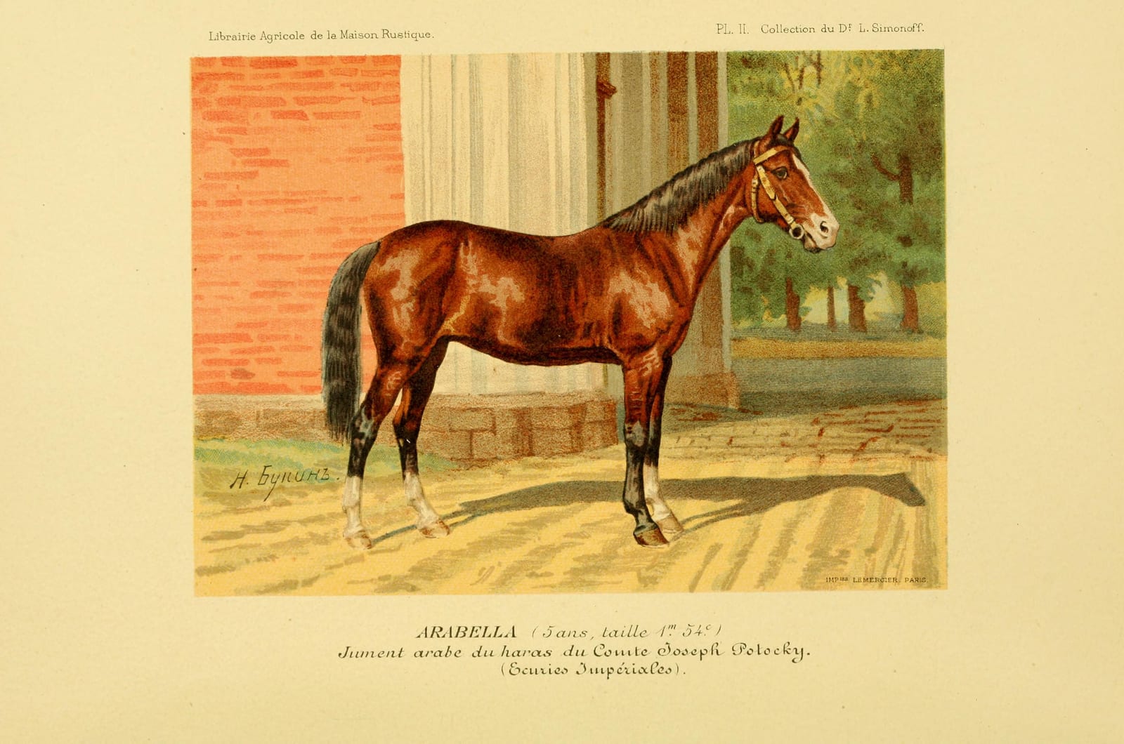 Image connected to Ivan Bunin: Les races chevalines : avec une étude spéciale sur les chevaux russes /