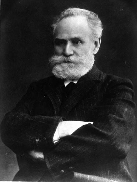 Portrait or photograph of Ivan Pavlov: Portrait of Ivan Pavlov, Russian physiologist and experimental psychologist