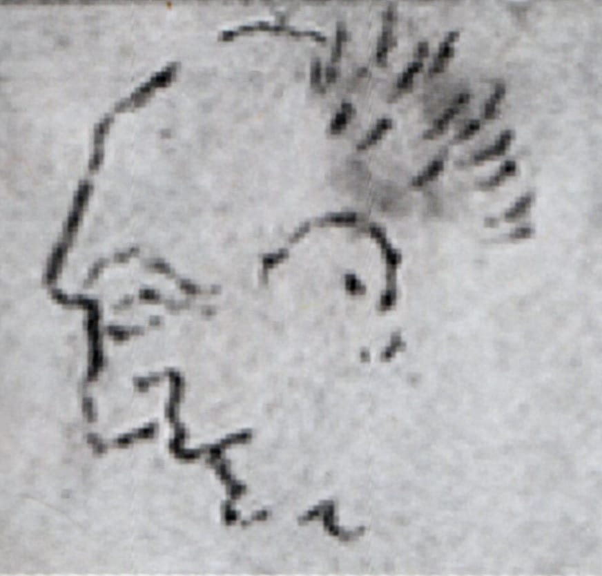 Portrait or photograph of Katsushika Hokusai: Hokusai described him as "Shaggy white-haired with small eyes and large nose".