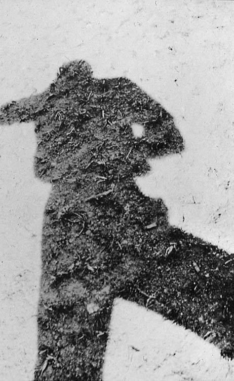 Portrait or photograph of Mario de Andrade: "My Shadow"( en / pt )