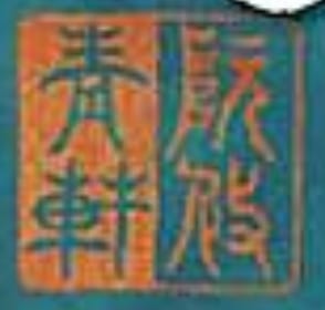 Portrait or photograph of Nguyễn Du: The seal of Vietnamese writer Nguyễn Du (阮攸).
