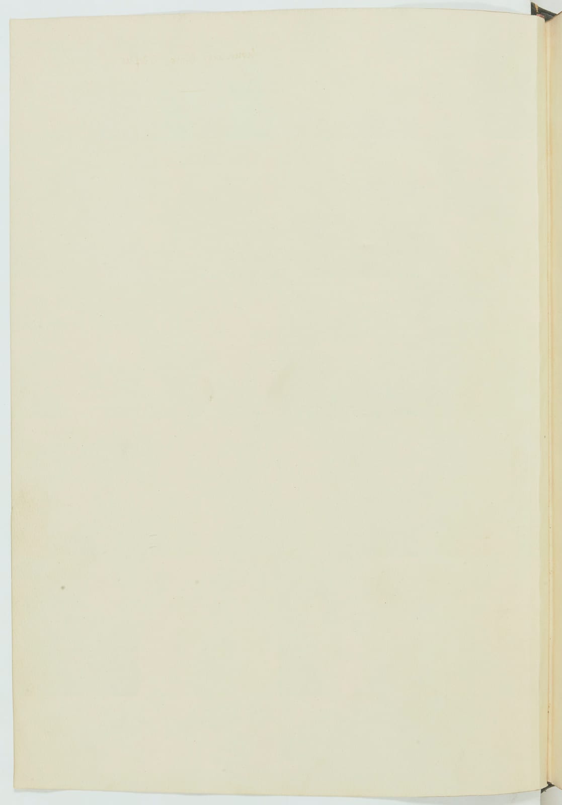 Image connected to Noel Rosa: Sujet : Mehmet-Emin Aali-Pacha Abd el Kader Edmond About Alexandra Feodorovna The Grand Duke Alexander Nicholaevitch Alexandre VII