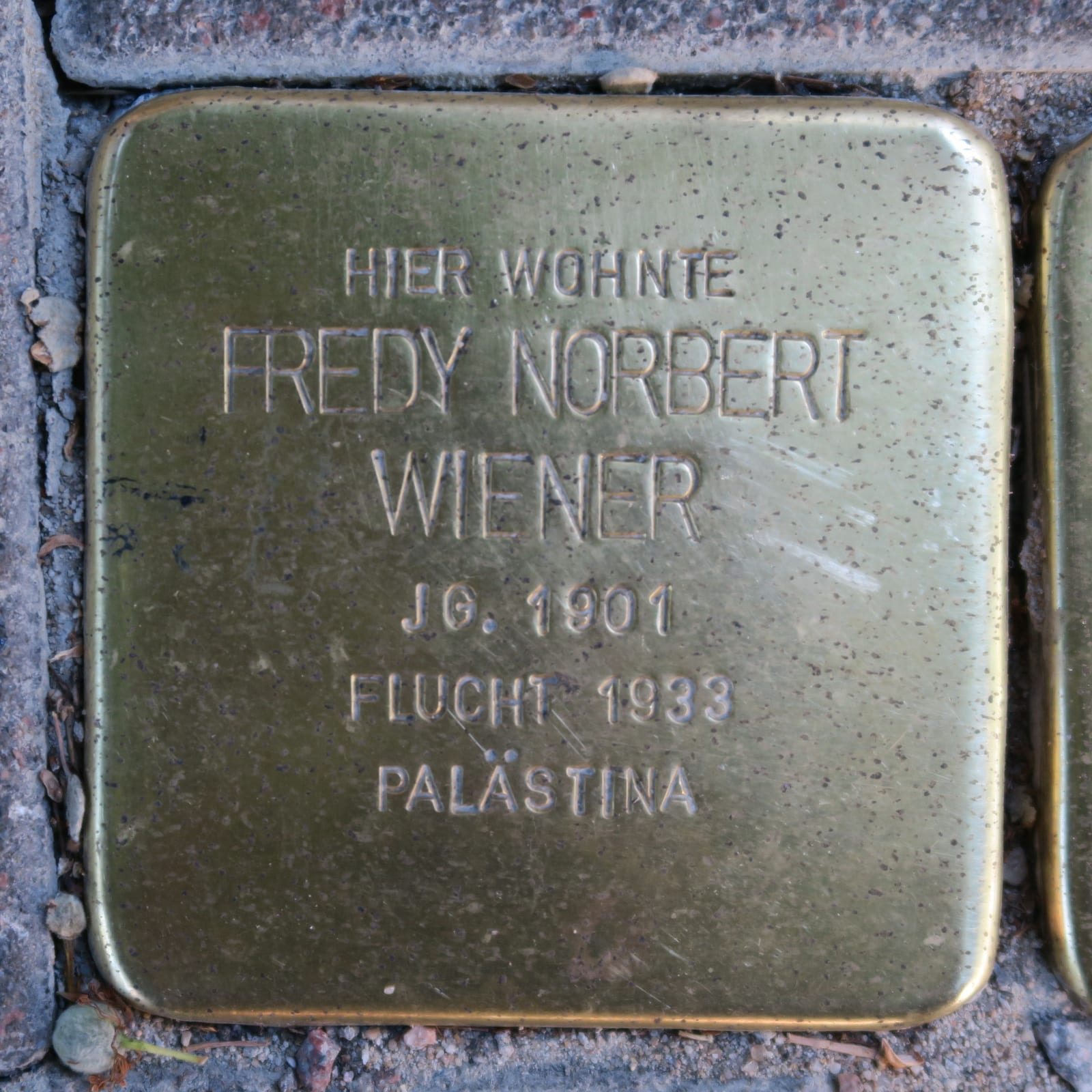 Portrait or photograph of Norbert Wiener: Stolperstein für Fredy Norbert Wiener in Hamburg-Eppendorf