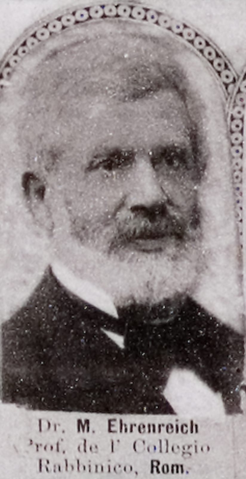 Image connected to Primo Levi: Dr. Moses Levi Ehrenreich Prof. de F. Collegio Rabbinico, Rom.