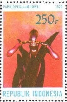 Image connected to Raden Ajeng Kartini: single from souvenir sheet