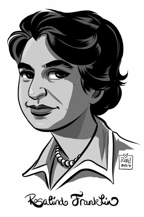 Portrait or photograph of Rosalind Franklin: English scientist Rosalind Franklin , whose work was integral to discovery of the structure of DNA, as drawn by Ror