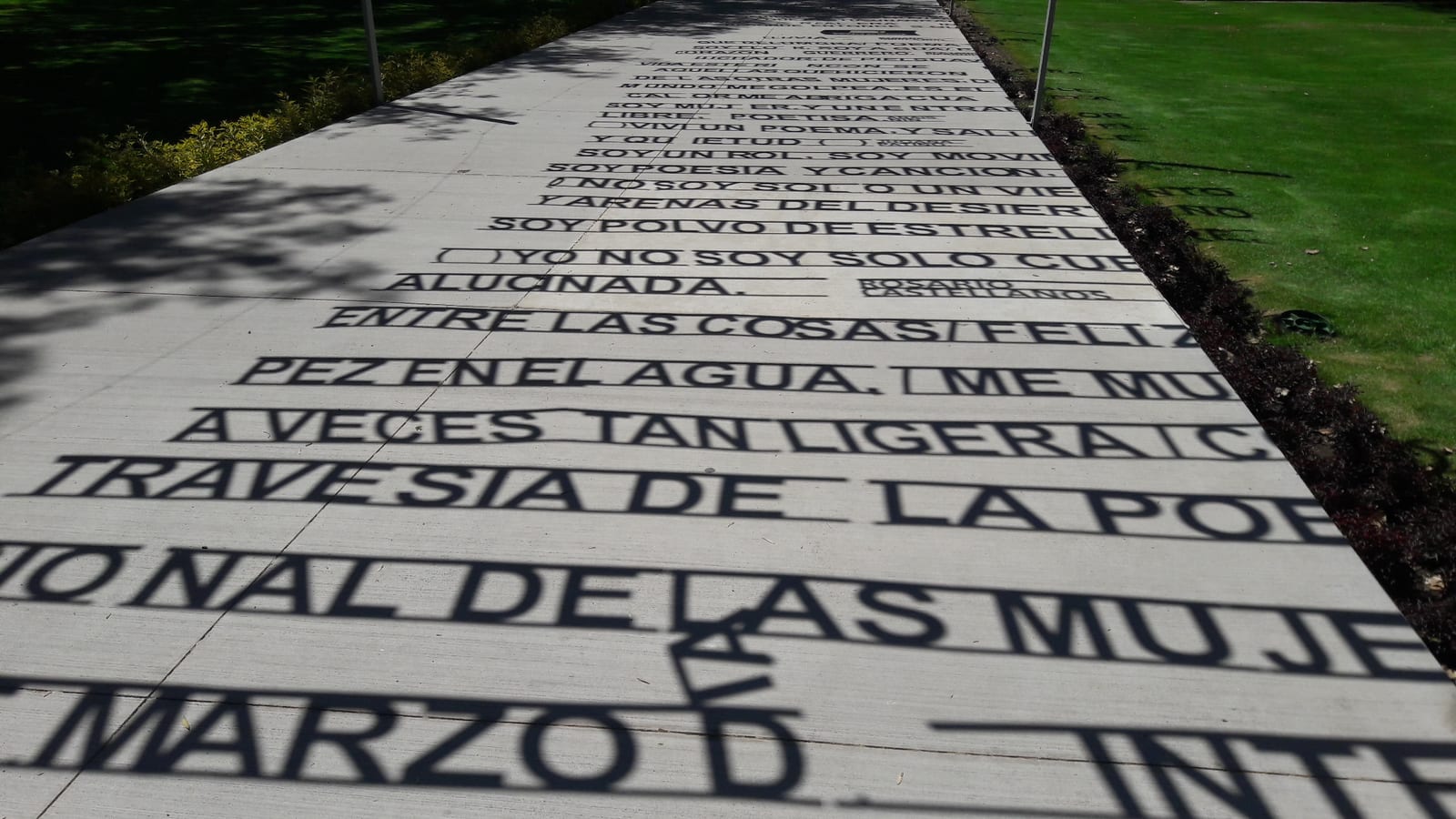 Portrait or photograph of Rosario Castellanos: Instalación con frase de Rosario Castellanos en la UAA