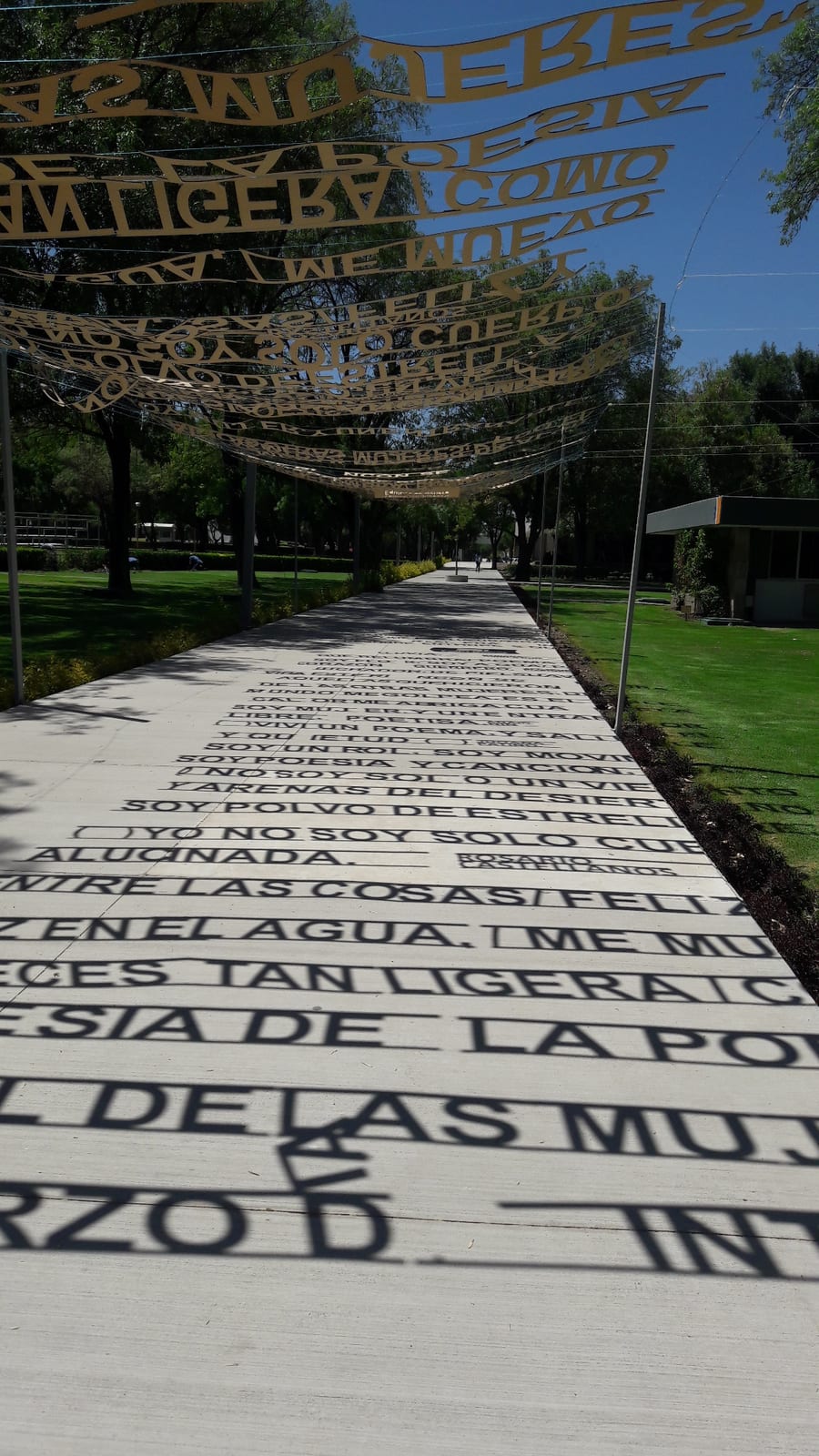Portrait or photograph of Rosario Castellanos: Instalación con frase de Rosario Castellanos en la UAA