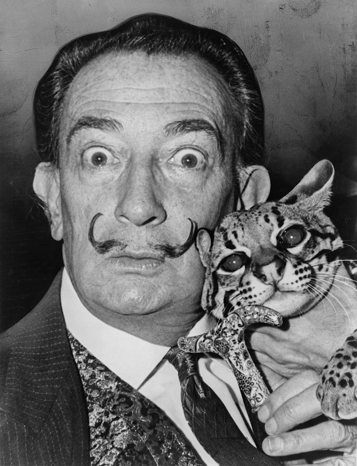 Portrait or photograph of Salvador Dali: Salvador Dali with his pet ocelot , Babou, and cane.
