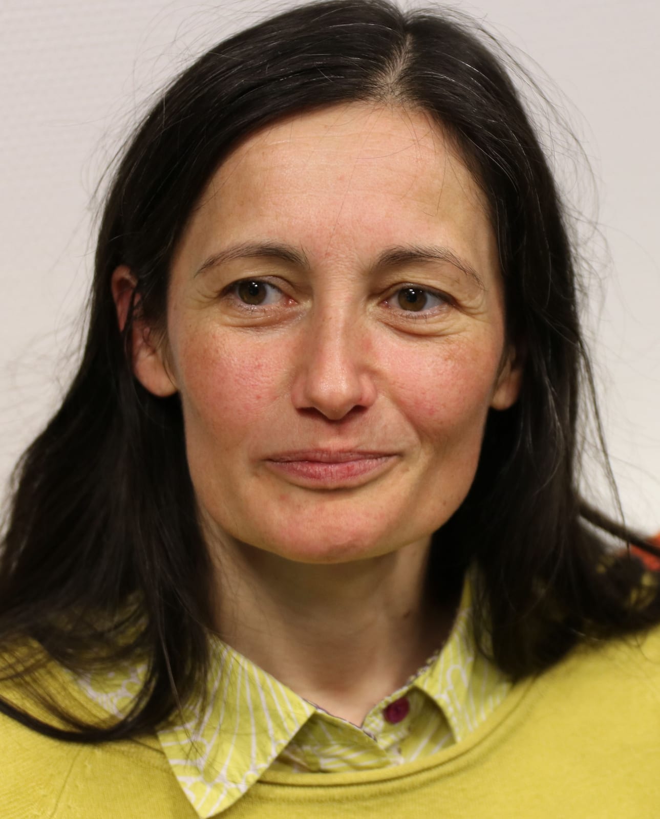 Portrait or photograph of Simone de Beauvoir: Fabienne Dumont le 17/1/2017 lors de sa conférence "L'iconograhie féministe des années 1970 à nos jours" à l'espac