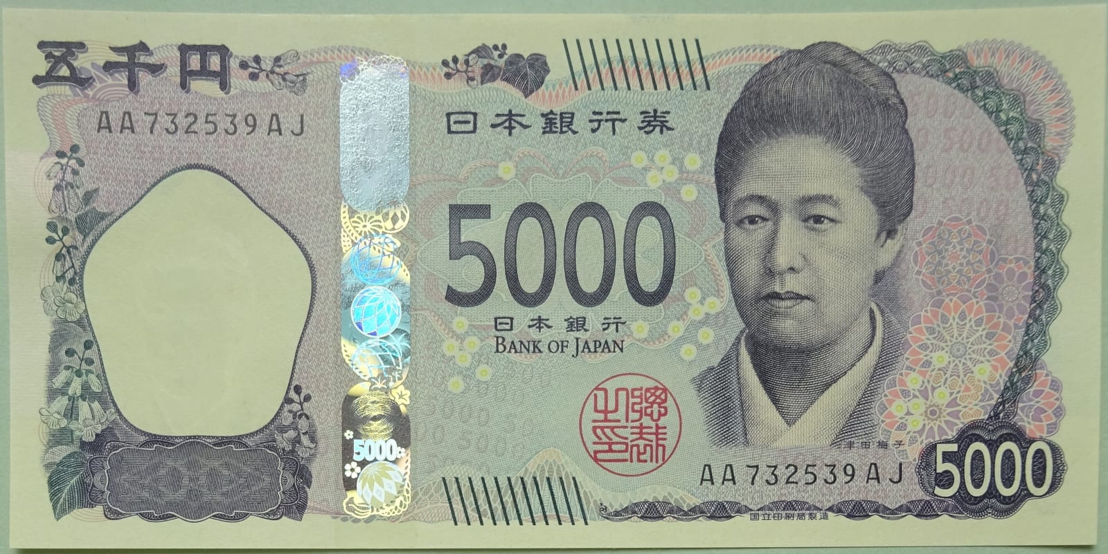 Portrait or photograph of Tsuda Umeko: Series F 5000 Yen Bank of Japan note. Portrait and watermark: Tsuda Umeko. Wisteria flowers (Japanese wisteria). First is