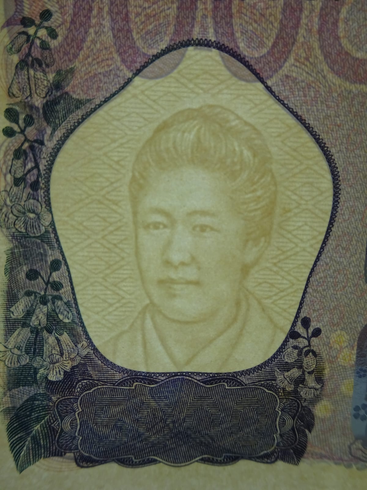 Portrait or photograph of Tsuda Umeko: Series F 5000 Yen Bank of Japan note. Portrait and watermark: Tsuda Umeko. Wisteria flowers (Japanese wisteria). First is