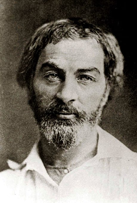 Portrait or photograph of Walt Whitman: Walt Whitman. Daguerreotype