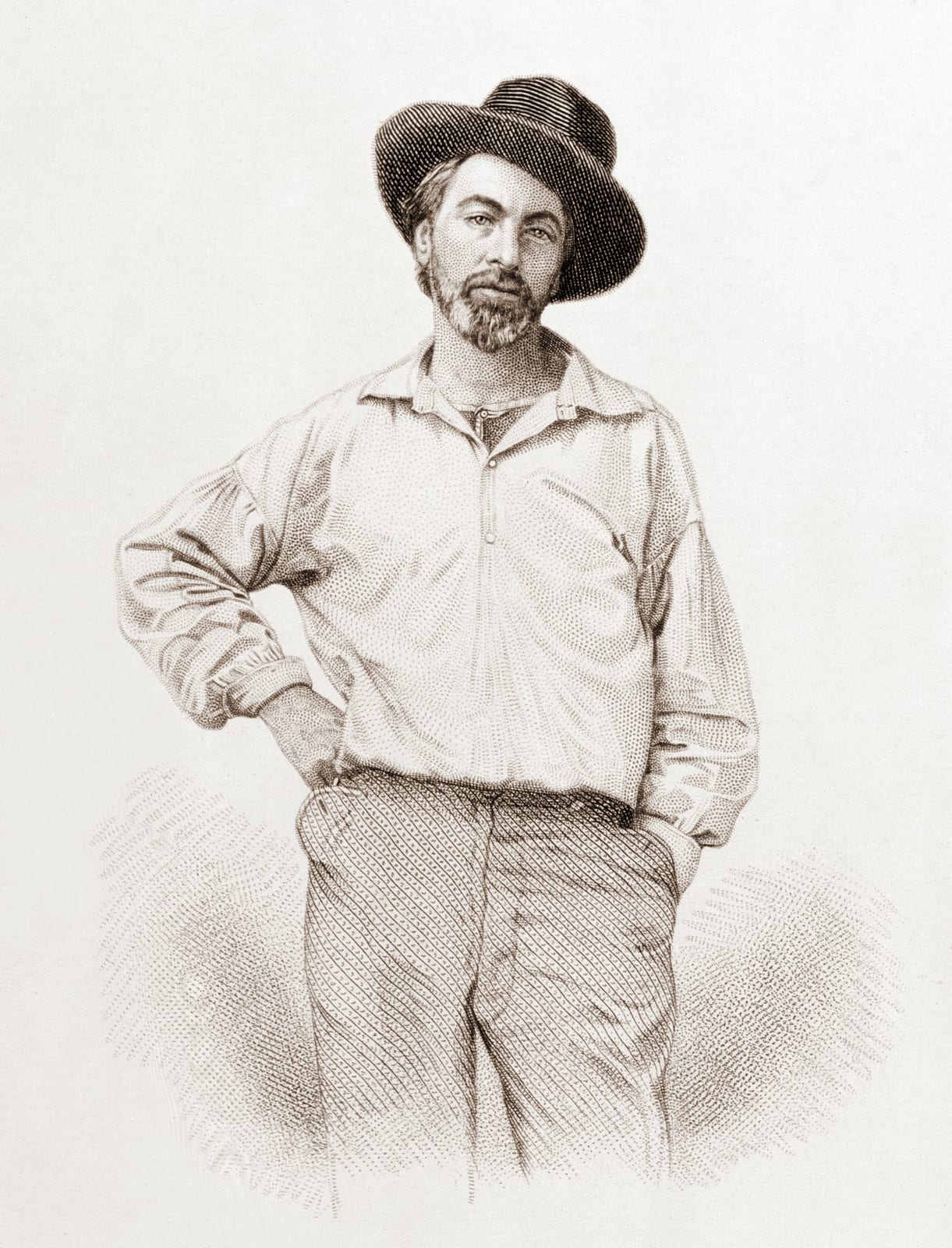 Portrait or photograph of Walt Whitman: Walt Whitman (1819-1892), age 35, frontispiece to Leaves of Grass , Fulton St., Brooklyn, N.Y., 1855, steel engraving by