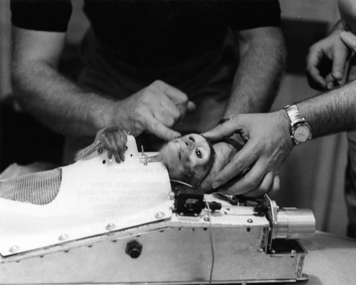 Photograph or image of Able: American-born Rhesus monkey "Able" is released from the life support capsule in which she rode the nose cone of an Army Jupiter mis