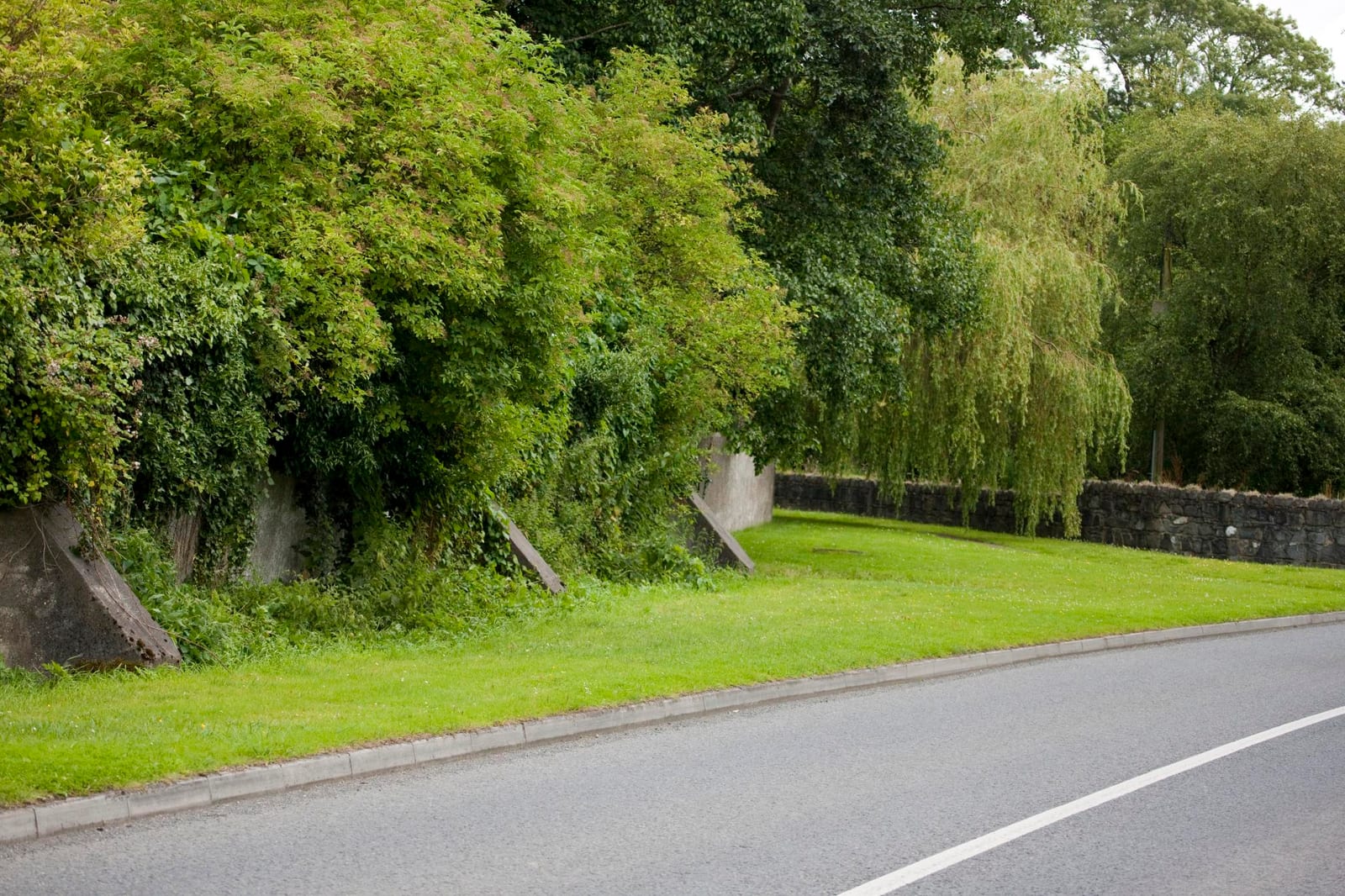Photograph or image of Arkle: The Main Visitor Attractions Are Described Below: The Stud Guided tours are available at the visitor centre. The Japanese Gardens