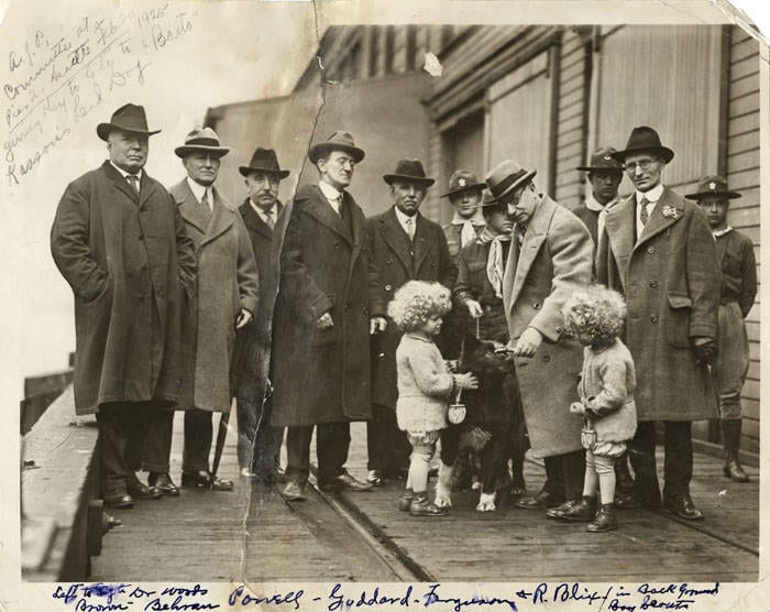 Photograph or image of Balto: Alaska-Yukon Pioneers Committee presenting a key to the city to sled dog Balto at Pier 52, Seattle, March 22, 1925