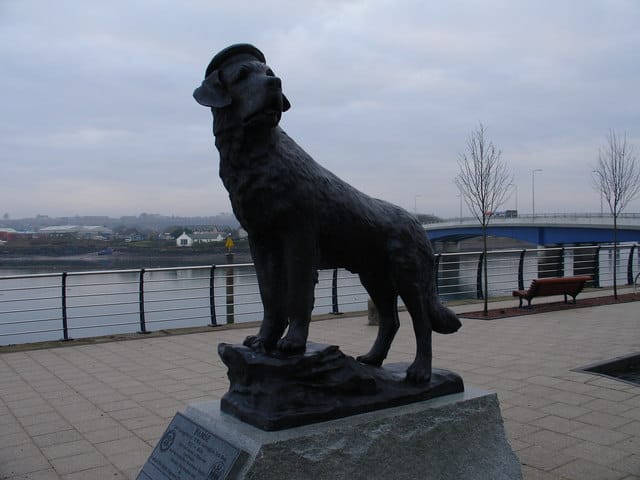 Photograph or image of Bamse: Bamse Bamse is Montrose's very own war hero and is buried in the town. A St Bernard dog from Honningsvaag, Norway. He stole the he