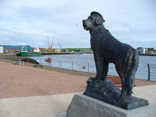 Bamse