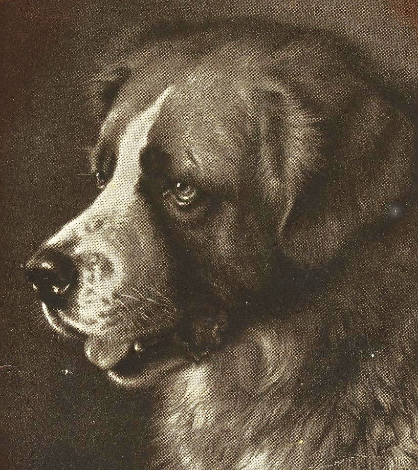 Photograph or image of Barry: Bayard (nicknamed Barry), St. Bernard of the Bavarian sculptor Joseph Echteler, painted by Frank Paton, c. 1880s