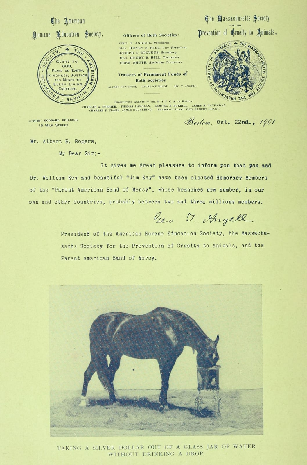 Photograph or image of Beautiful Jim Key: The story of Beautiful Jim Key : the most wonderful horse in all the world.