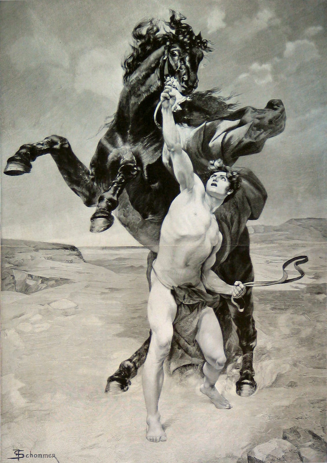 Photograph or image of Bucephalus: Alexander old drawings