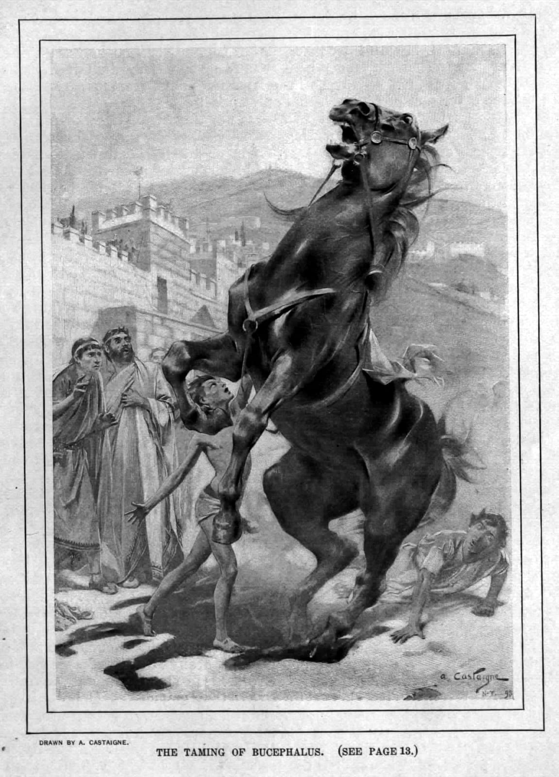 Photograph or image of Bucephalus: Alexander old drawings