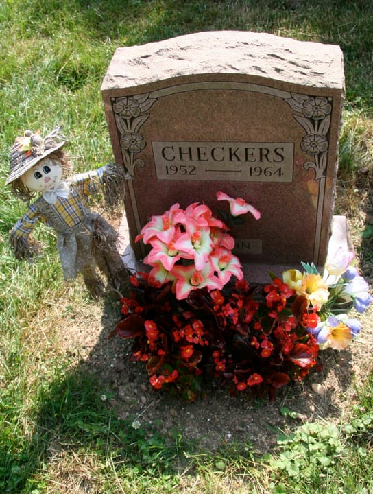 Photograph or image of Checkers: The grave of Checkers, Nixon's dog. From Bide-a-wee pet cemetary, New York