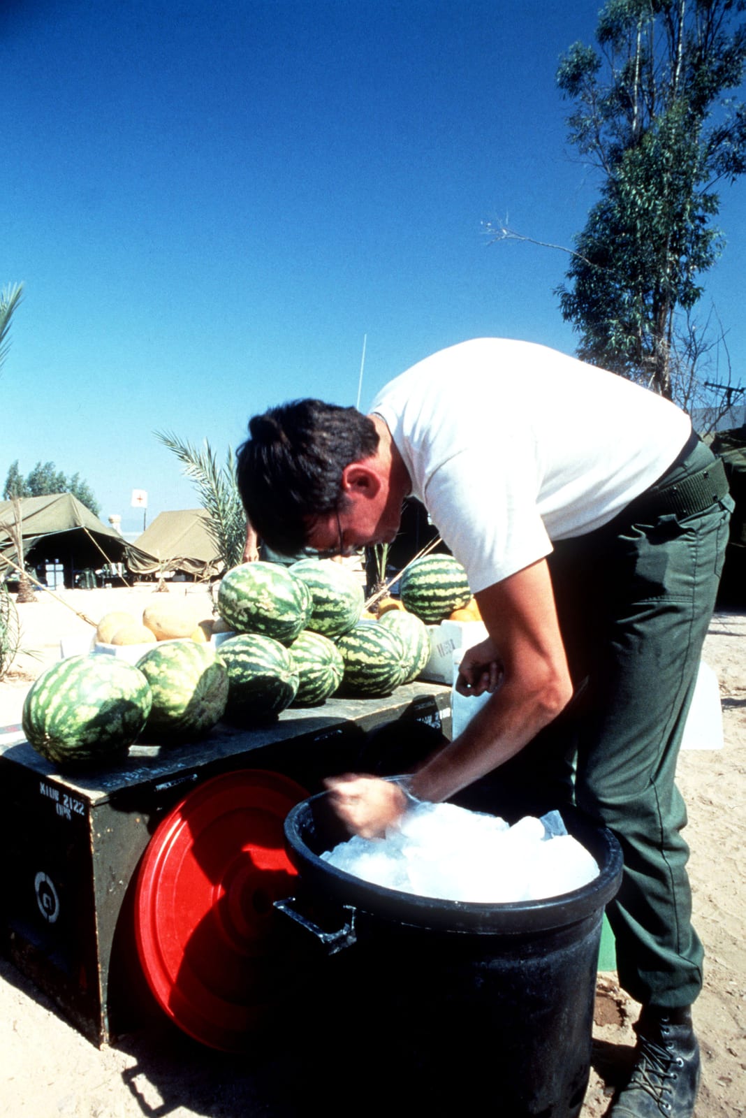 Photograph or image of Chips: The original finding aid described this photograph as: Subject Operation/Series: SHADOW HAWKBRIGHT STAR '87 Base: Aqaba Country: J