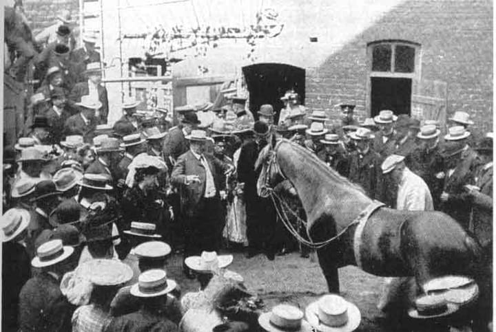 Photograph or image of Clever Hans: Schillings is presenting Clever Hans to the audience