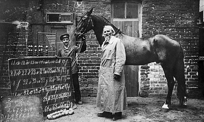 Photograph or image of Clever Hans: Wilhelm von Osten and Clever Hans