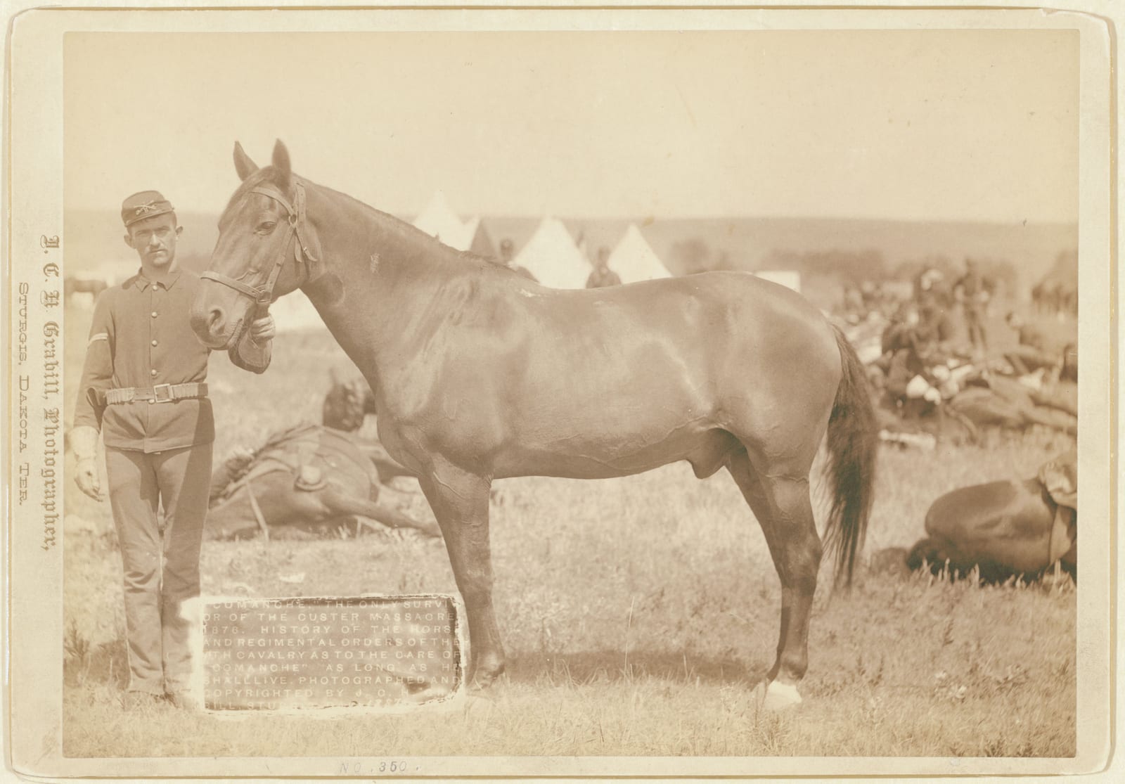 Comanche