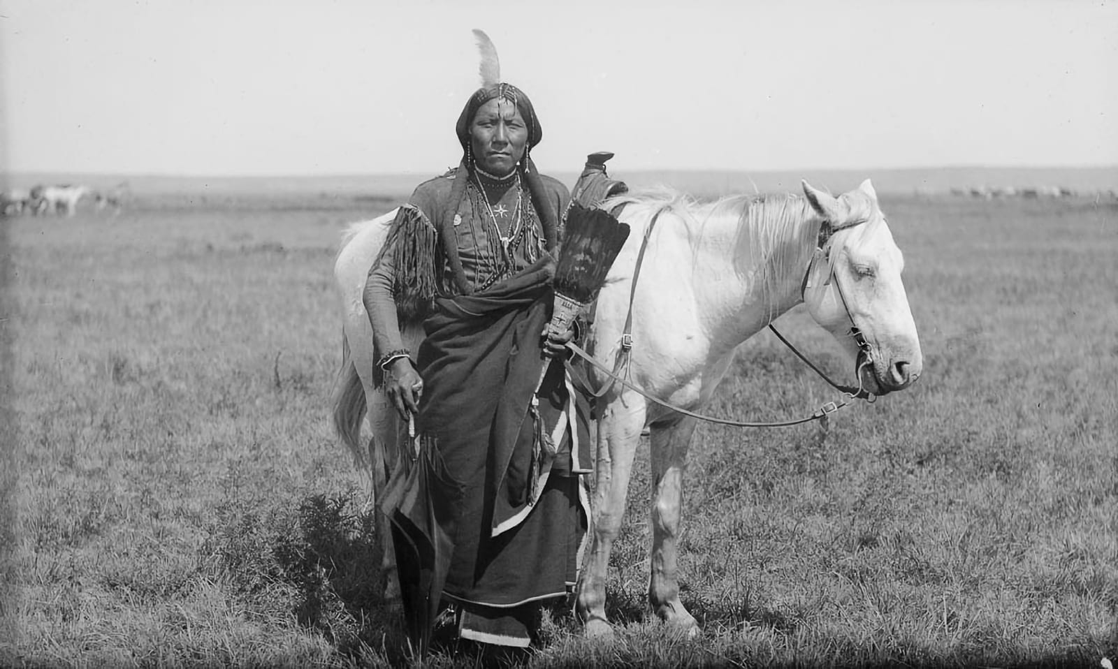 Photograph or image of Comanche: A Comanche warrior named "Ako" and his horse, photographed 1892.