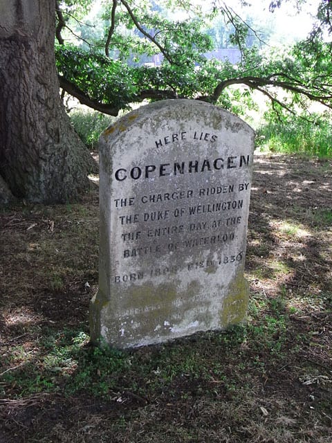 Photograph or image of Copenhagen: Copenhagen's grave, Stratfield Saye An inscription at the base of the gravestone reads "God's humbler instrument, though mean